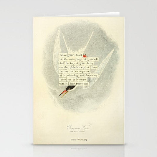 Bird Divinations: Common Tern (about: almanacofbirds.org) Stationery Card Gallery Image 2
