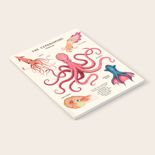 THE CEPHALOPODS Notebook Gallery Image 2