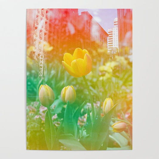 Center of the Universe Poster Gallery Image 2