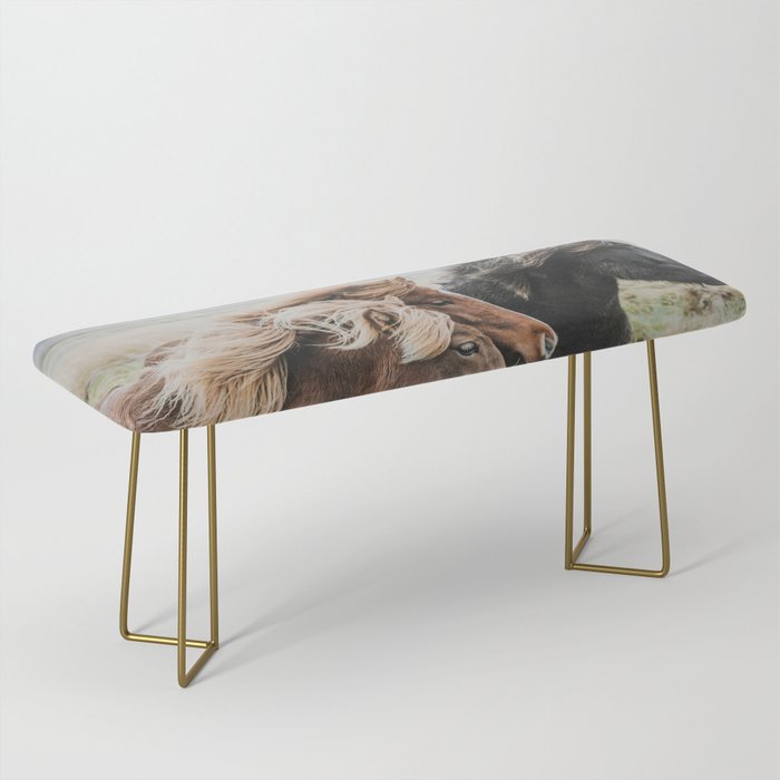 Thingeyrar, Iceland Bench Gallery Image 2