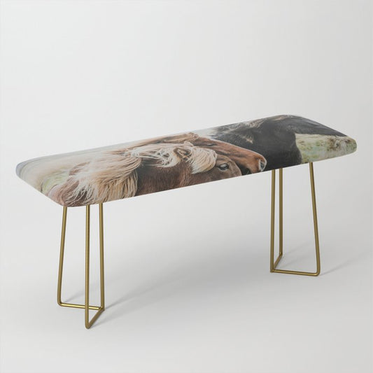 Thingeyrar, Iceland Bench Gallery Image 2
