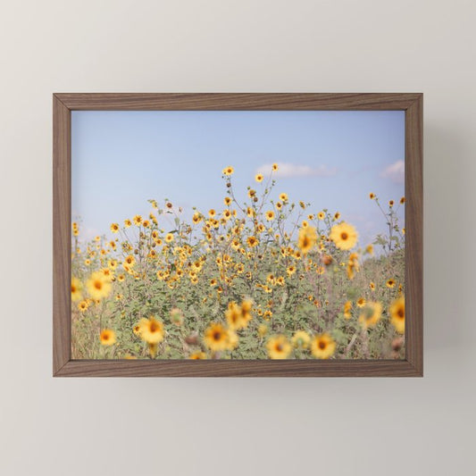 Texas Sunflower Field Mini Art Print Gallery Image 2
