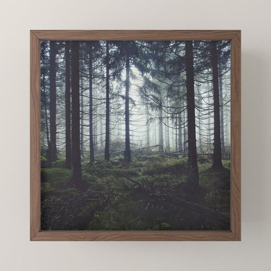 Through The Trees Mini Art Print Gallery Image 2