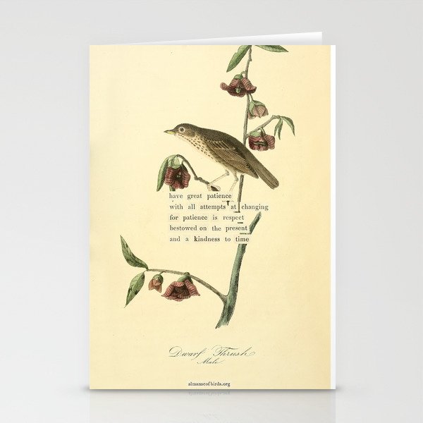 Bird Divinations: Dwarf Thrush (about: almanacofbirds.org) Stationery Card Gallery Image 1