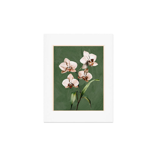 White Orchid Floral Art 4 Art Print Gallery Image 2