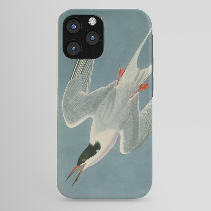 Roseate Tern - John James Audubon Birds of America iPhone Case Gallery Image 44