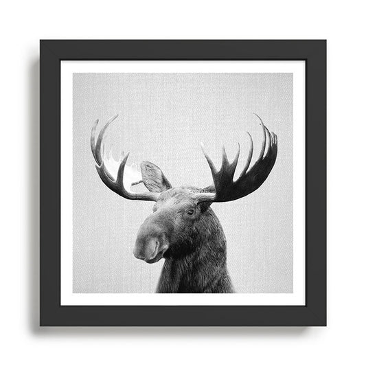 Moose - Black & White Framed Art Print Gallery Image 2