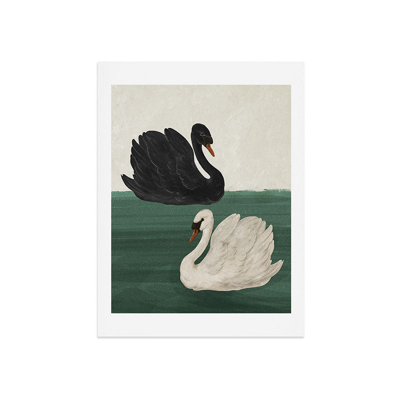 Black Swan White Swan Art Print Gallery Image 5