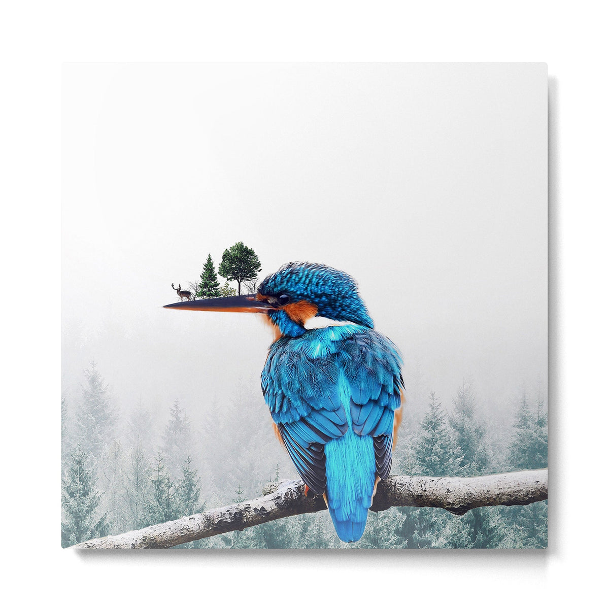 Symbiosis Metal Print Gallery Image 5