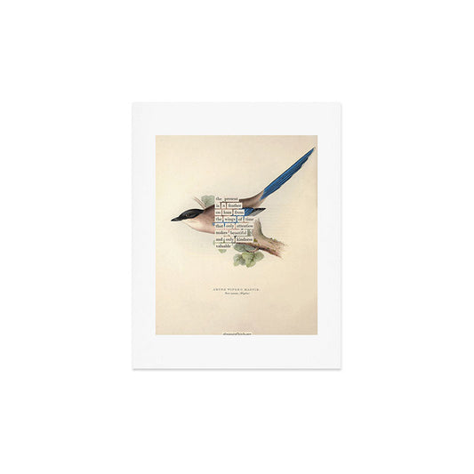 Bird Divinations: Azure Magpie (about: almanacofbirds.org) Art Print Gallery Image 2