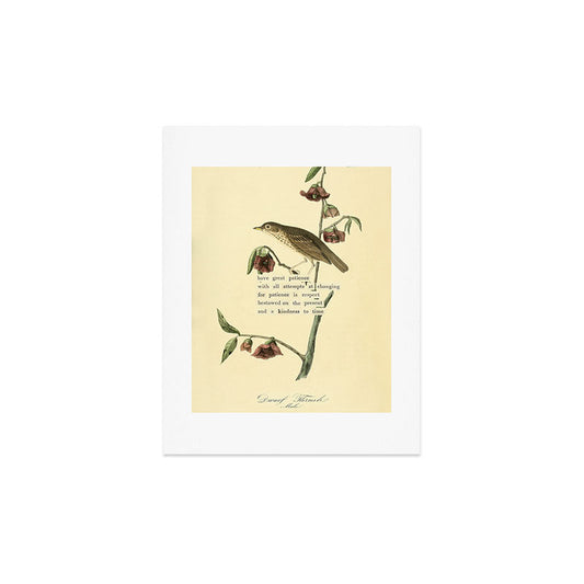 Bird Divinations: Dwarf Thrush (about: almanacofbirds.org) Art Print Gallery Image 2