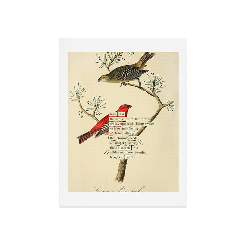 Bird Divinations: Pine Finch (about: almanacofbirds.org) Art Print Gallery Image 7