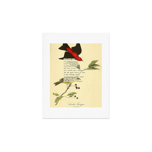 Bird Divinations: Scarlet Tanager (about: almanacofbirds.org) Art Print Gallery Image 2