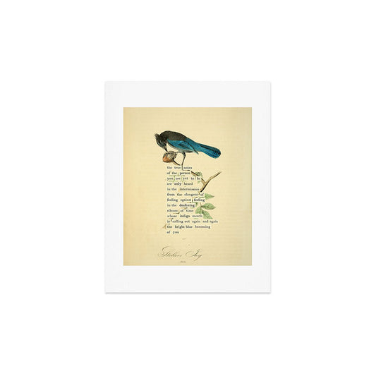 Stellers Jay Divination from # An Almanac of Birds # Divinations for Uncertain Days Art Print Gallery Image 2