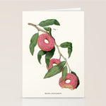 Donut Plant Stationery Card Gallery Image 1