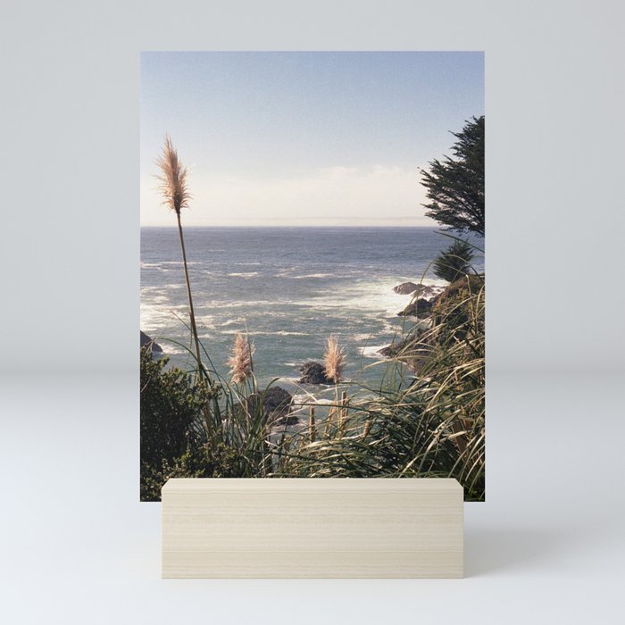 California Coast | 35mm Film Photography Mini Art Print Gallery Image 5