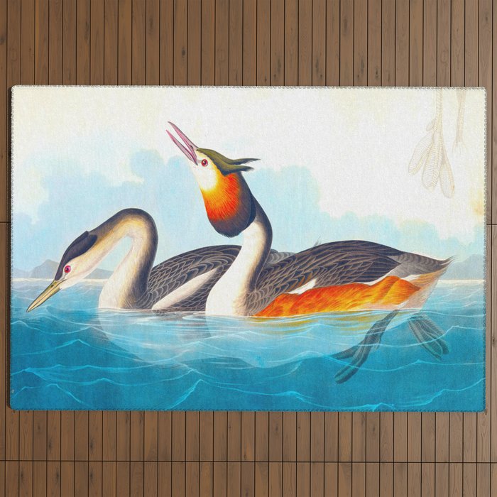 Great Crested Grebe Bird Outdoor Rug Gallery Image 4