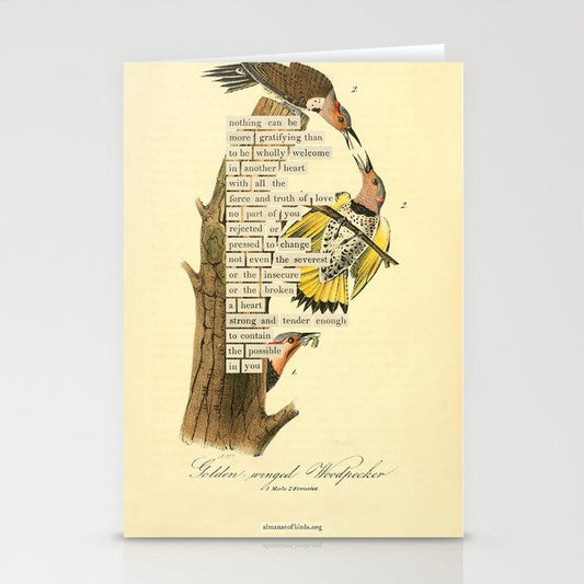 Bird Divinations: Golden-Winged Woodpecker (about: almanacofbirds.org) Stationery Card Gallery Image 2