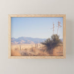 Marfa Morning Light Mini Art Print Gallery Image 1