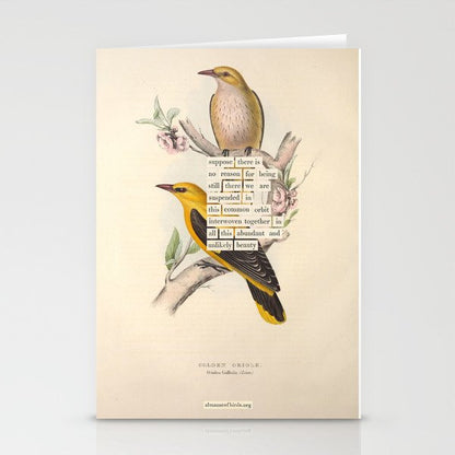 Bird Divinations: Golden Oriole (about: almanacofbirds.org) Stationery Card Gallery Image 1