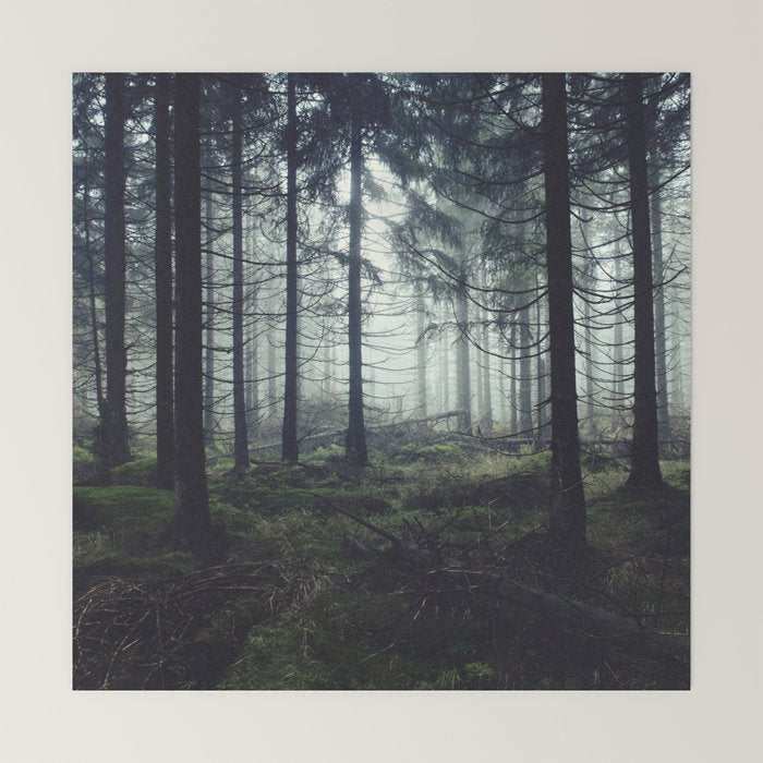 Through The Trees Mini Art Print Gallery Image 6