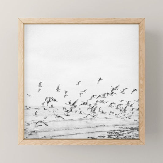 "Seagulls" | Coastal black and white photo | Film photography | Beach - square Mini Art Print Gallery Image 1