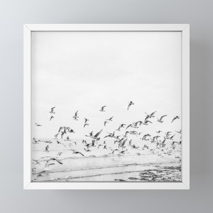 "Seagulls" | Coastal black and white photo | Film photography | Beach - square Mini Art Print Gallery Image 4