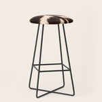 Zebra - zebra stripes -zebra skin - genuine - beautiful Stool Gallery Image 1