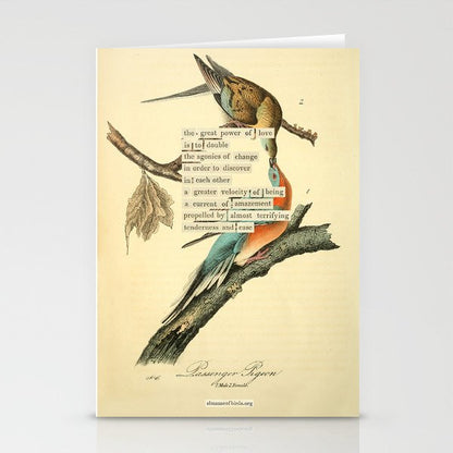 Bird Divinations: Passenger Pigeon (about: almanacofbirds.org) Stationery Card Gallery Image 2