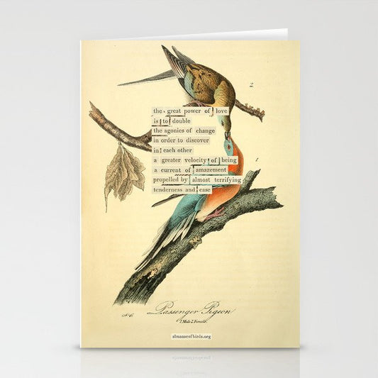 Bird Divinations: Passenger Pigeon (about: almanacofbirds.org) Stationery Card Gallery Image 2