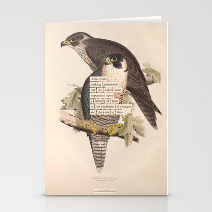 Bird Divinations: Peregrine Falcon (about: almanacofbirds.org) Stationery Card Gallery Image 1