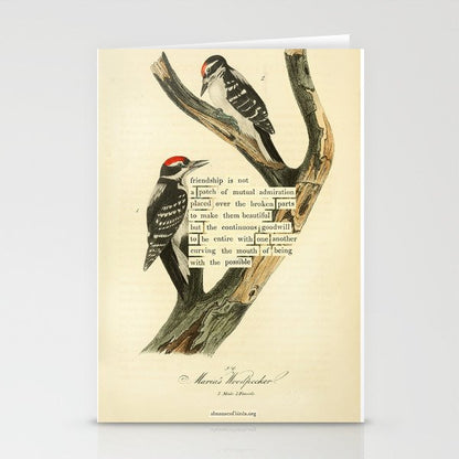 Bird Divinations: Maria's Woodpecker (about: almanacofbirds.org) Stationery Card Gallery Image 1