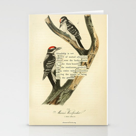 Bird Divinations: Maria's Woodpecker (about: almanacofbirds.org) Stationery Card Gallery Image 1