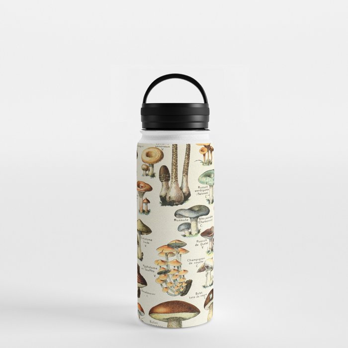 Vintage Mushroom & Fungi Chart by Adolphe Millot Water Bottle Gallery Image 3