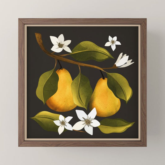 Pears Botanical Art 1 Mini Art Print Gallery Image 2