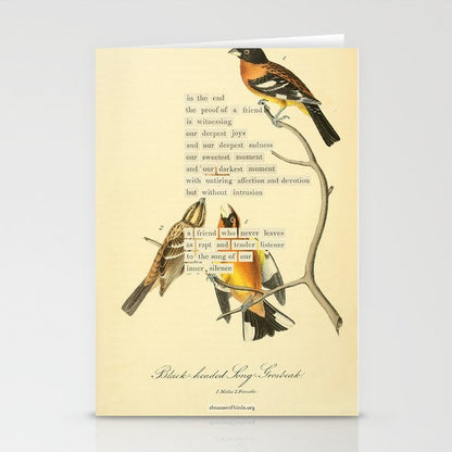 Bird Divinations: Black-headed Song-grosbeak (about: almanacofbirds.org) Stationery Card Gallery Image 1