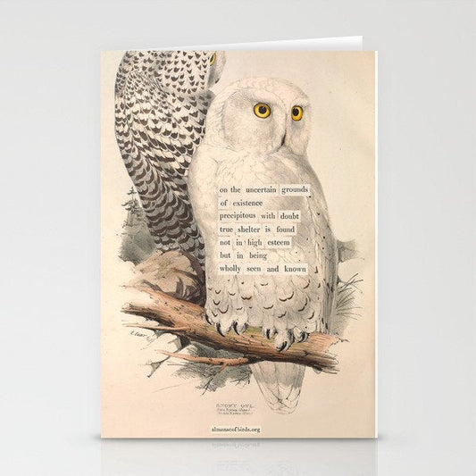 Bird Divinations: Snowy Owl (about: almanacofbirds.org) Stationery Card Gallery Image 2