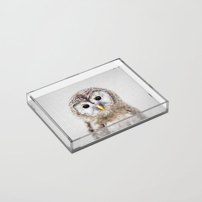 Baby Owl - Colorful Acrylic Tray Gallery Image 2