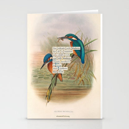 Bird Divinations: Kingfisher (about: almanacofbirds.org) Stationery Card Gallery Image 1