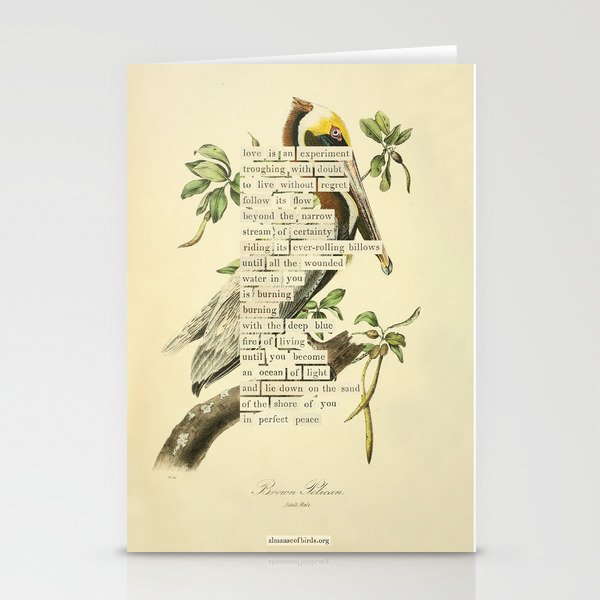 Bird Divinations: Brown Pelican (about: almanacofbirds.org) Stationery Card Gallery Image 1