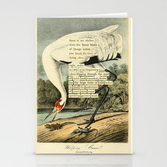 Bird Divinations: Whooping Crane (about: almanacofbirds.org) Stationery Card Gallery Image 1