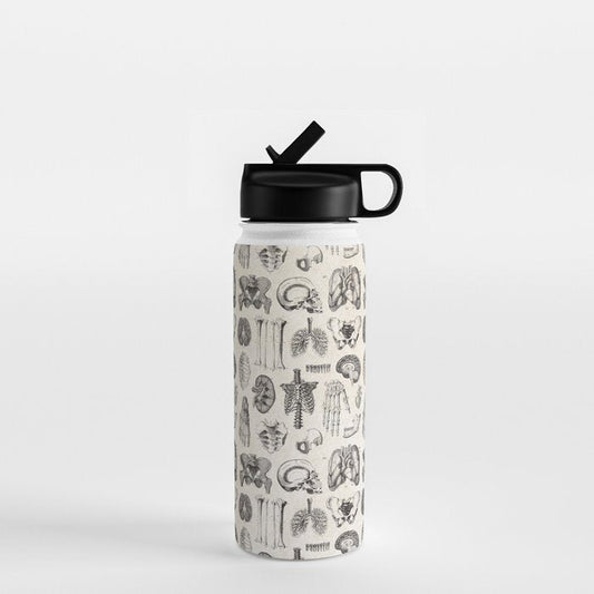 Human Anatomy Water Bottle Gallery Image 1