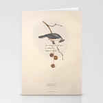 Bird Divinations: Toupet Tit (about: almanacofbirds.org) Stationery Card Gallery Image 1