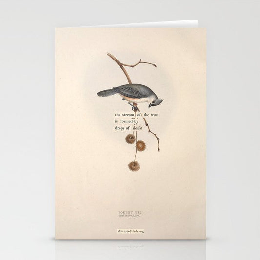 Bird Divinations: Toupet Tit (about: almanacofbirds.org) Stationery Card Gallery Image 1