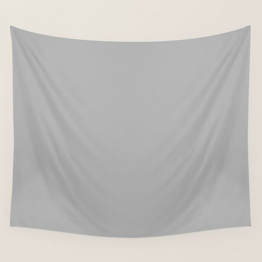 Light Gray Solid. Silver Minimalism Wall Tapestry Gallery Image 2