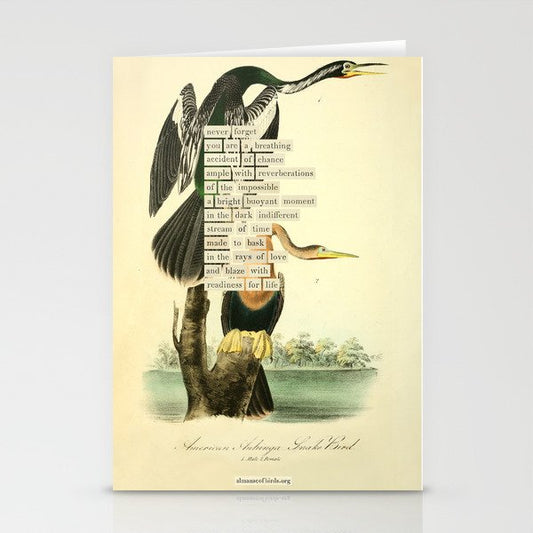 Bird Divinations: Snake Bird (about: almanacofbirds.org) Stationery Card Gallery Image 1