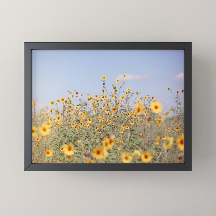 Texas Sunflower Field Mini Art Print Gallery Image 3