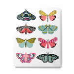 Moths - white background, moth print, moth art, moth sticker, moths, moth art Metal Print Gallery Image 1