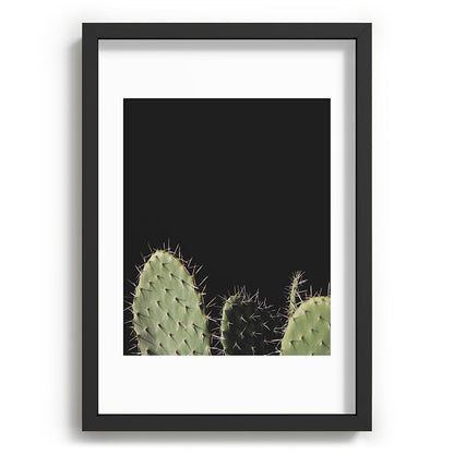 Cactus Framed Art Print Gallery Image 59