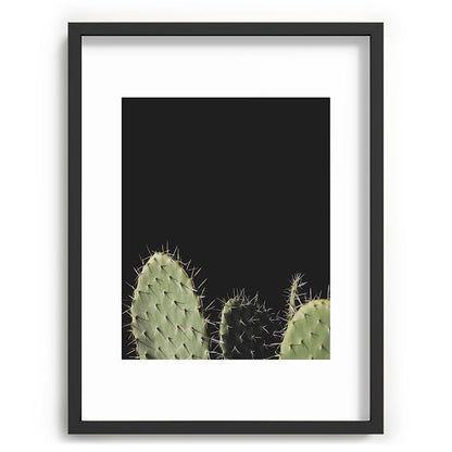 Cactus Framed Art Print Gallery Image 61